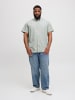 JACK & JONES PLUS Hemd in Hedge Green