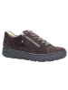 Hartjes Damen- Schnürschuhe PHIL SHOE in Braun