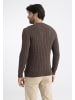 Felix Hardy Pullover in braun