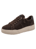 Tamaris WIDE FIT Sneaker in MOCCA SUEDE