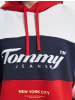 TOMMY JEANS TOMMY JEANS Hoodie in crimson/multi bunt0
