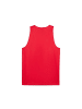 Puma T-Shirt "teamJAWS Reversible Jersey" in Rot