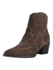 Nero Giardini Stiefelette in Dunkelbraun