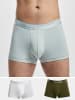 CALVIN KLEIN UNDERWEAR Boxershorts in evergreen forest/white/aqua