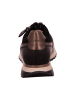 Gabor Sneaker Low in schwarz