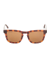 Lacoste Sonnenbrille in Brown