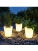 tectake Leuchtzylinder Luminous Curve Cooler, LED, mit Fernbedienung