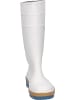 Dunlop Stiefel Acifort Tricolour in weiß in weiß