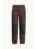 Jack Wolfskin Wanderhosen/Softshellhosen RASCAL WINTER PANTS K in Rot