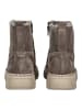 Gabor Stiefelette in Braun/Grau