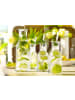 Stölzle 2er Set Karaffen Purity 500 ml transparent in transparent