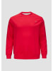 s.Oliver Sweatshirt in 3348_himbeere