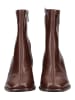 Steve Madden Stiefelette in Wine