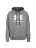 Under Armour Trainingskapuzenpullover Rival Fleece Logo in grau