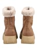 Nero Giardini Stiefelette in Braun