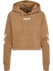 Hummel Hoodie Hmllegacy Woman Cropped Hoodie in TIGERS EYE