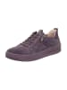 Legero Sneakers Low REJOISE in Smoked Violet