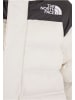 The North Face The North Face Winterjacken in white dune