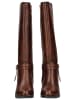 Pikolinos Stiefel in Dunkelbraun
