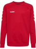 Hummel Sweatshirt Hmlgo Kids Cotton Sweatshirt in TRUE RED