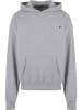 STARTER Sweat & Fleece - Hoody in heathergrey