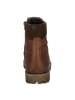 Josef Seibel Stiefelette Cheston 01 in castagne