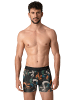 Muchachomalo 12er-Set: Boxershort in Mehrfarbig - für Herren