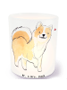 Mr. & Mrs. Panda Windlicht aus Glas Islandhund Moment ohne Spruch in Transparent