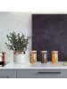 relaxdays 3 x Vorratsglas in Transparent/ Natur - 1500 ml