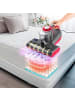 Clean Maxx Milben-Handstaubsauger mit UV-C-Licht 450W grau/rot grau