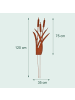 relaxdays Gartenstecker "Schilf" in Braun - (B)35 x (H)75 cm