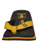 Cool Shoe Zehentrenner ORIGINAL  LTD  in bunt