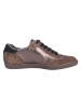 Paul Green Sneaker in braun