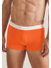 Seidensticker Trunk in Orange