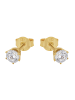 Amor Ohrstecker Gold 375/9 ct in Gold