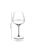 RIEDEL Glas 2er Set Pinot Noir / Nebbiolo Weingläser Grape 750 ml in transparent