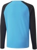 Puma Sportshirt "TeamPACER GK Longsleeve Jersey Jr" in Blau