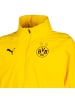 Puma Regenjacke Borussia Dortmund All Weather in gelb / schwarz