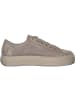 Paul Green Sneakers Low in cachemire