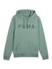 Puma Bodywear M CLOUDSPUN BRANDED HOODIE in Grün2087