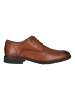 Clarks Businessschuhe Steadwell Lace in 5234 Dark Tan Lea