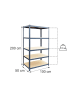 relaxdays Schwerlastregal "5 Ebenen" in Anthrazit - (B)100 x (H)200 x (T)50 cm