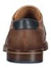 Bullboxer Businessschuhe in Cognac
