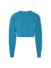Flyweight Sweatshirt in Blau
