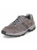 Camel Active Low Sneaker in Grau