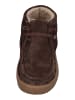 Verbenas Schnürschuhe BRITTEN FUR SERRAJE in braun
