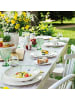 Villeroy & Boch 4er Set Sektschalen Boston Coloured 398 ml in Grün