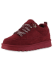 VAN HILL Sneaker Low Anneliese in Burgund