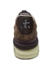 Premiata Sneaker Timless Trainers Premiata in Braun