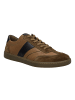 Josef Seibel Sneaker Lio 06 in braun